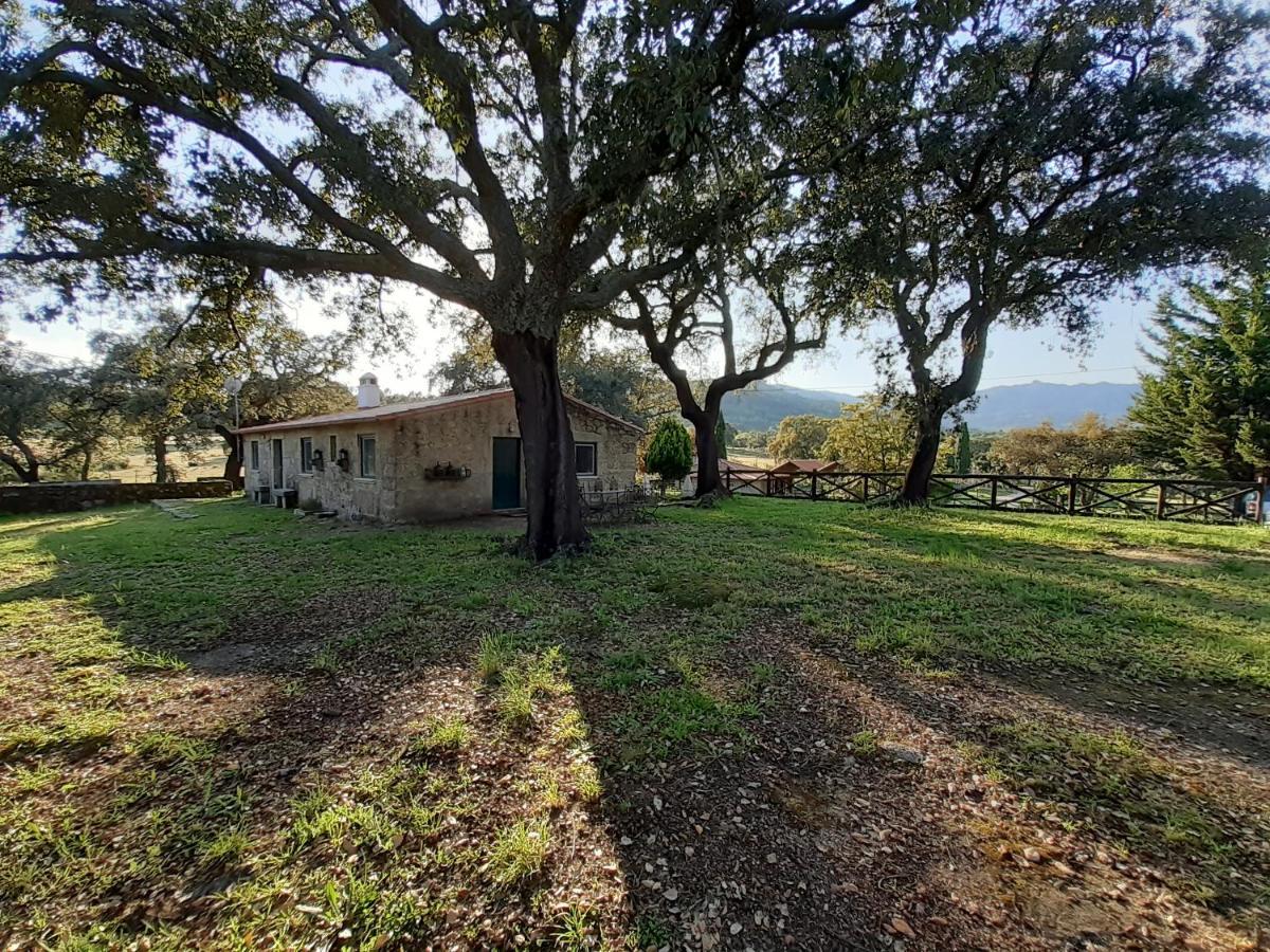 Casa Da Vinha Villa Castelo Novo Buitenkant foto