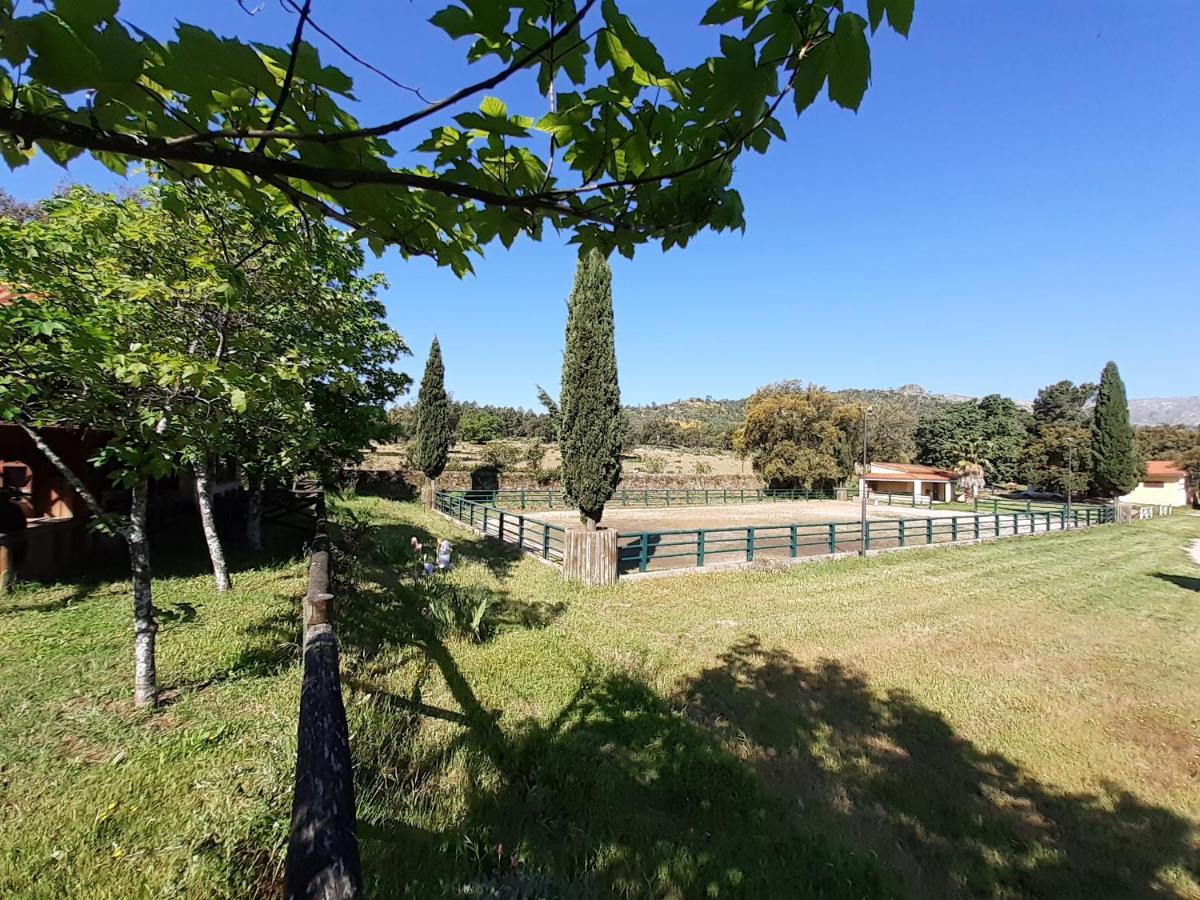 Casa Da Vinha Villa Castelo Novo Buitenkant foto